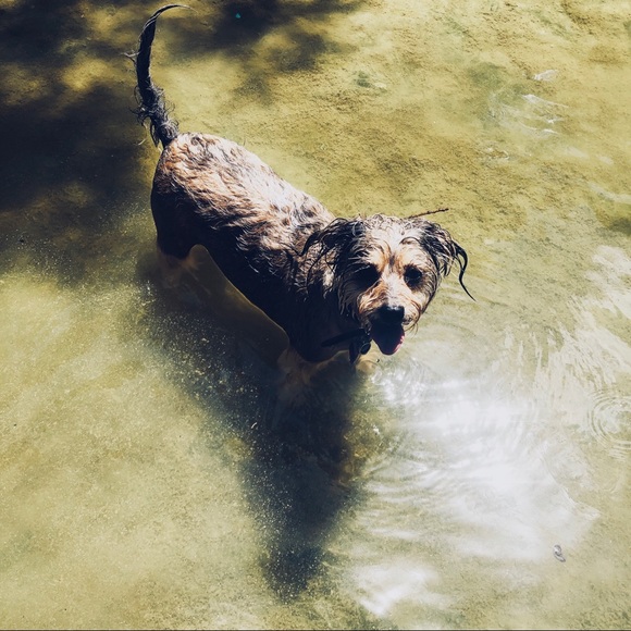 Meet your Posher, Courtney - Picture 6 of 8